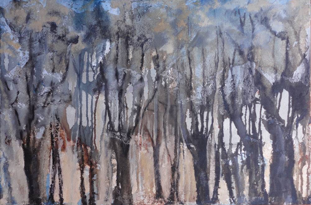 Bosque1