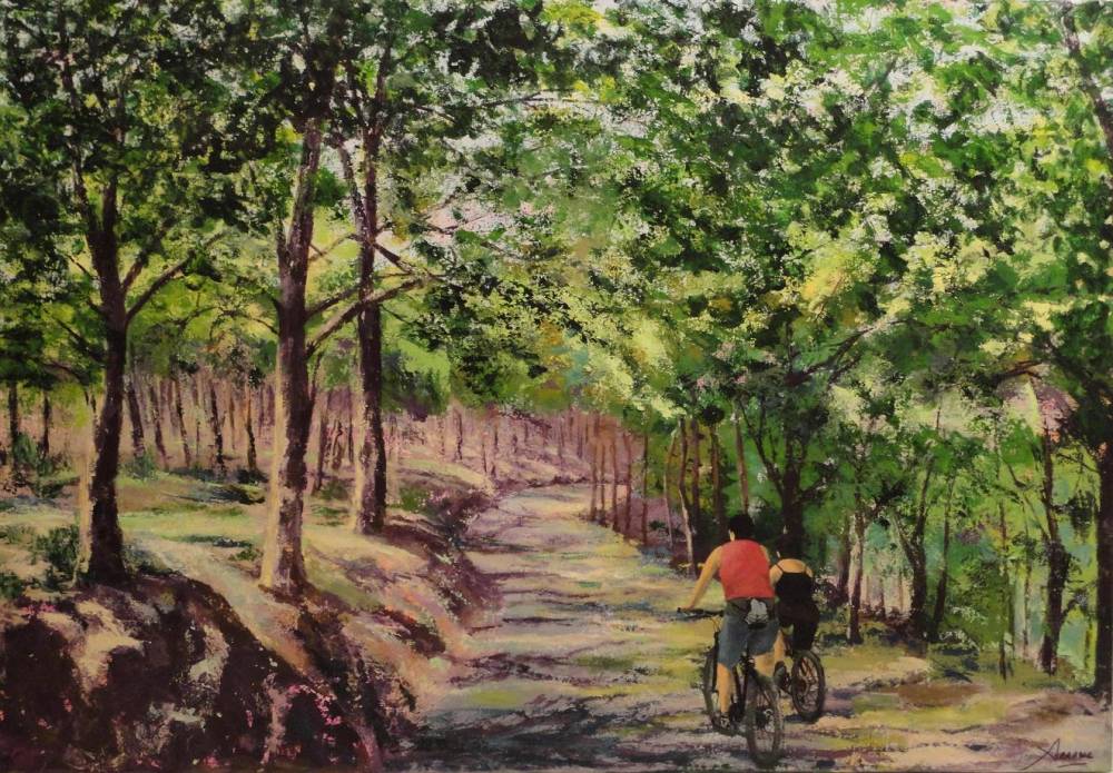 CaminoaBraavella