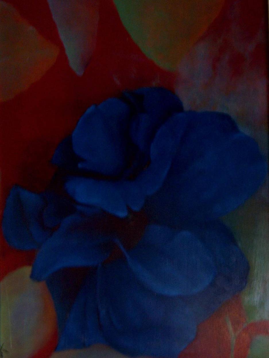 Hibiscoazul