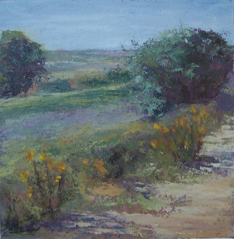 Paisajedelnaturaln3
