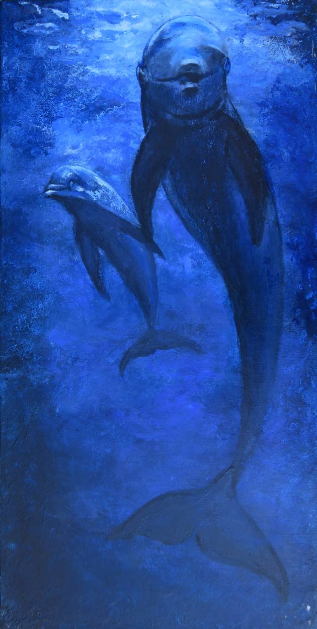 Fondos Marinos 8: Delfines