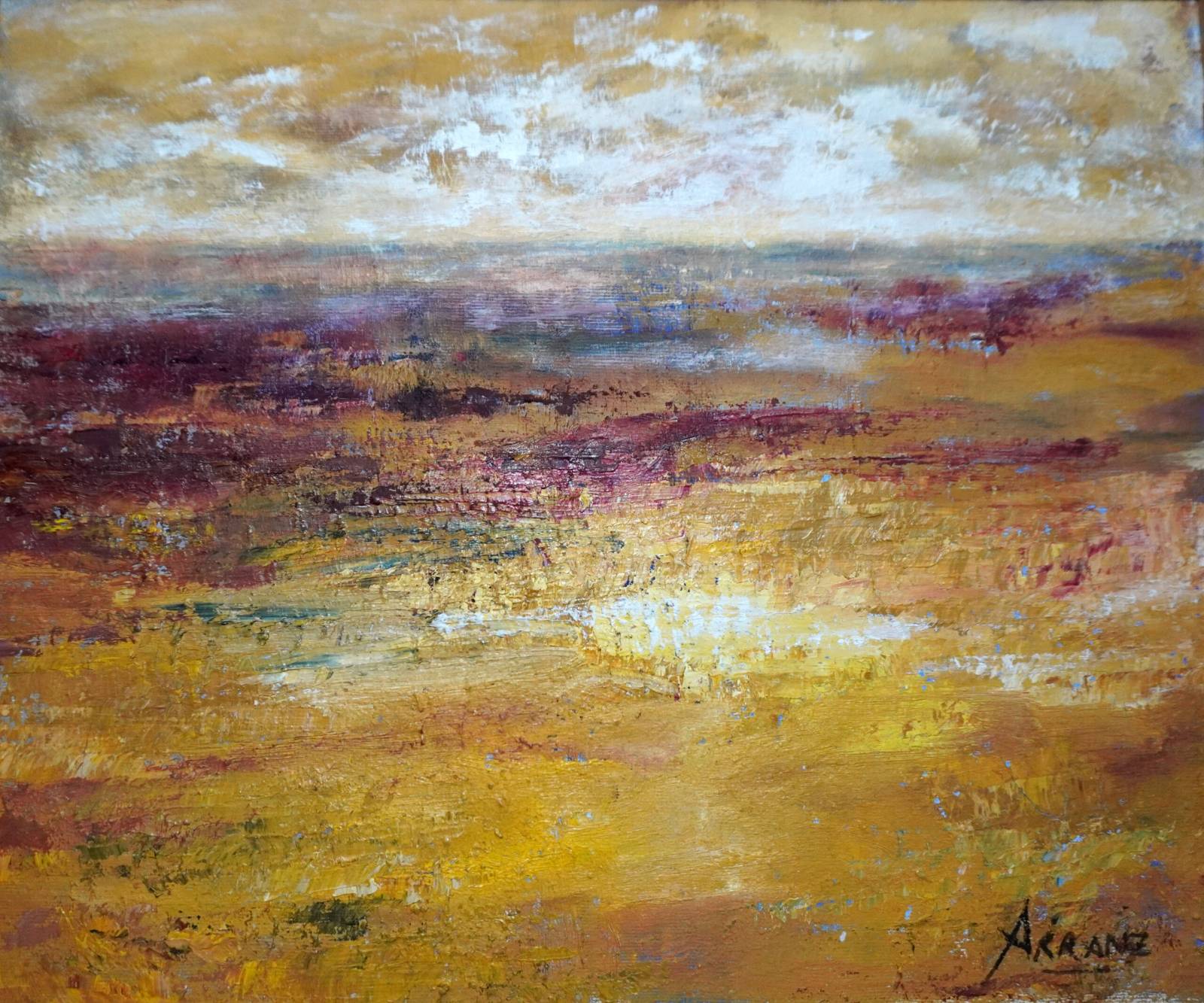 Tierras 13